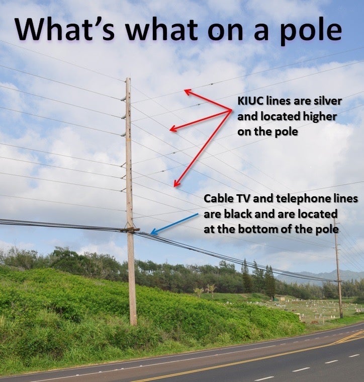 pole-diagram