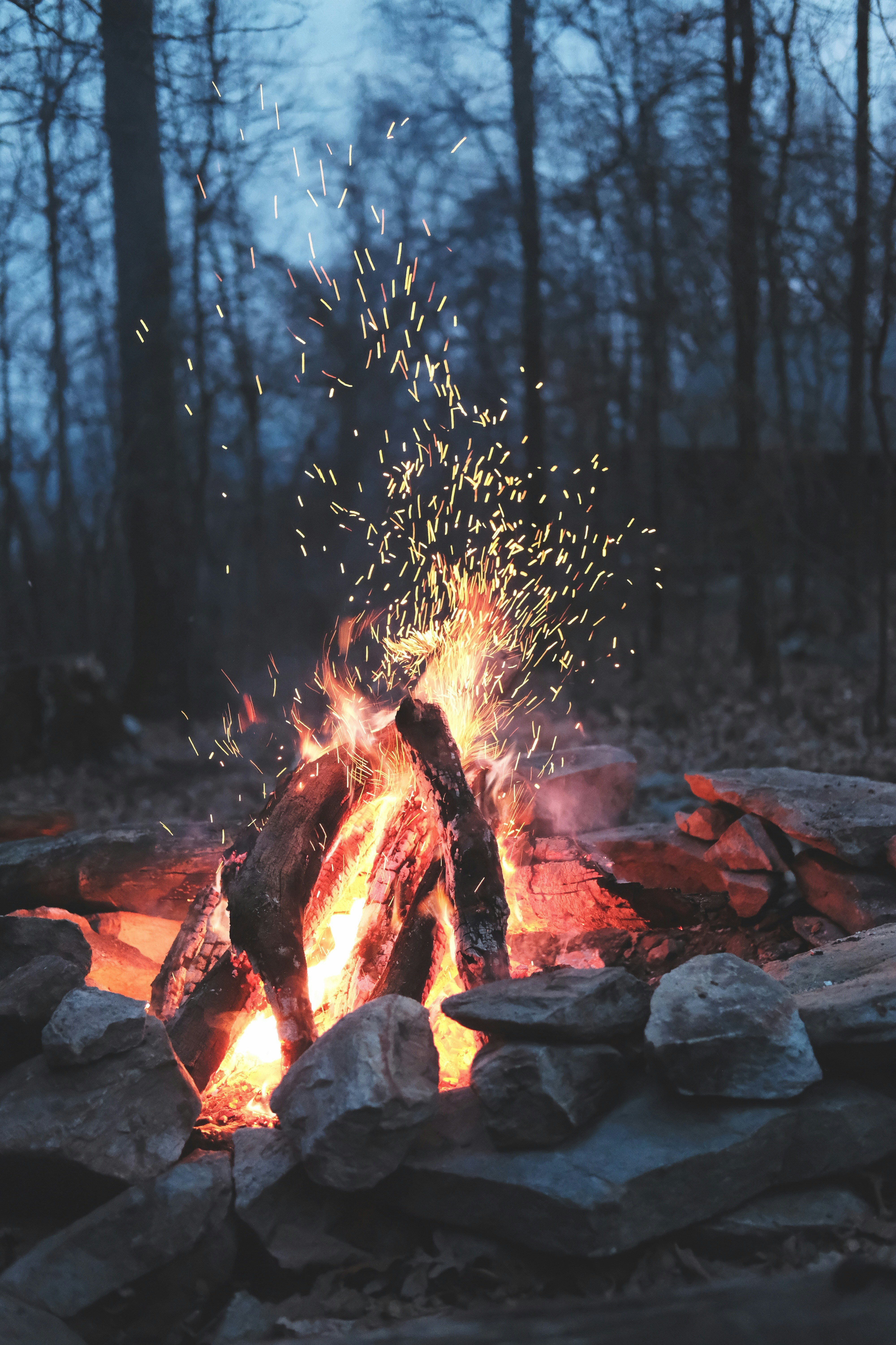 wild fire