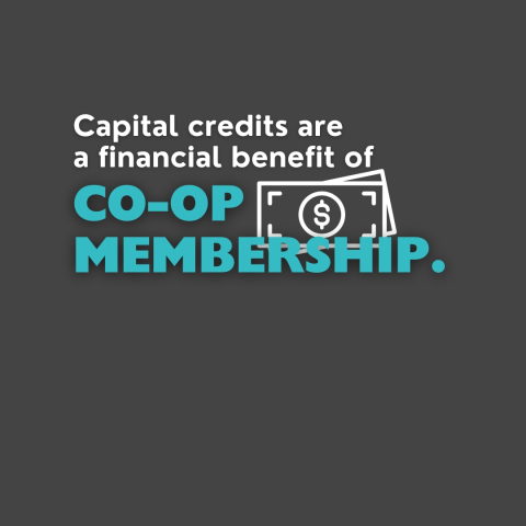 Capital Credits