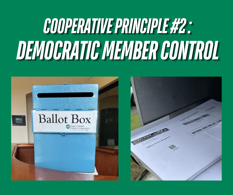 Cooperative Principle #2: Democratic Member Control