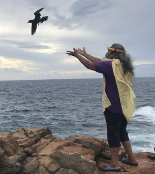 kumu releasing seabird