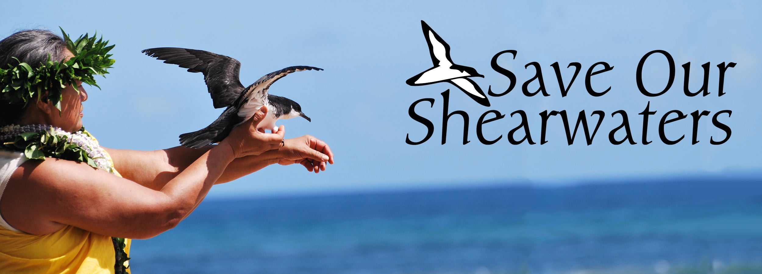 Save Our Shearwaters