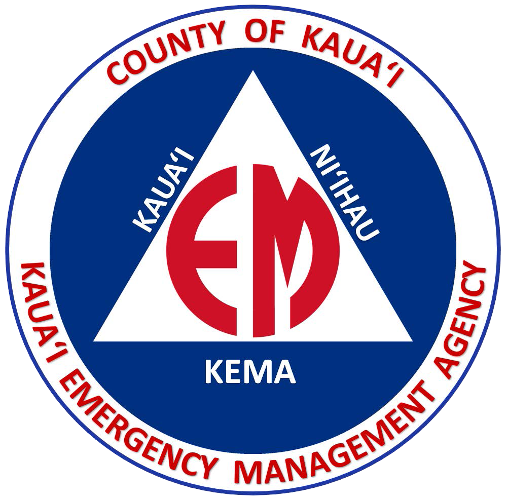 KEMA logo