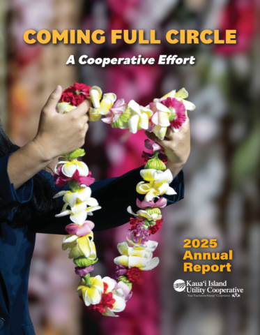 hands holding up a lei