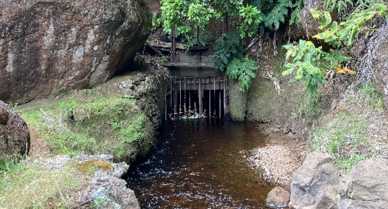 Intake gate at Kawaikōī Diversion in Kōkeʻe