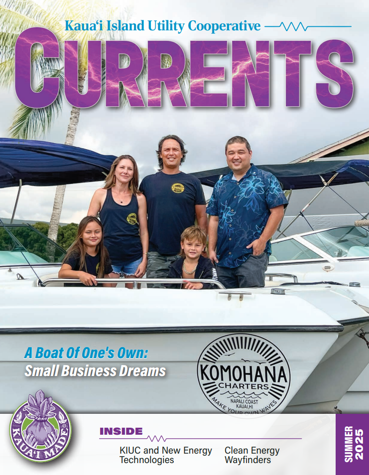 Summer Currents Cover